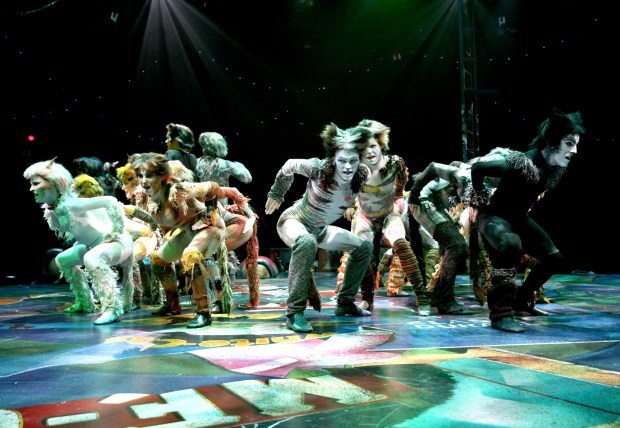The ensemble in a number from North Shore Music Theatre's "Cats." Photo: Paul Lyden